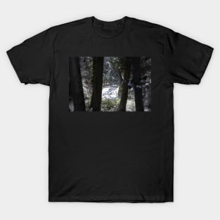 snowy Oregon forest 6 T-Shirt